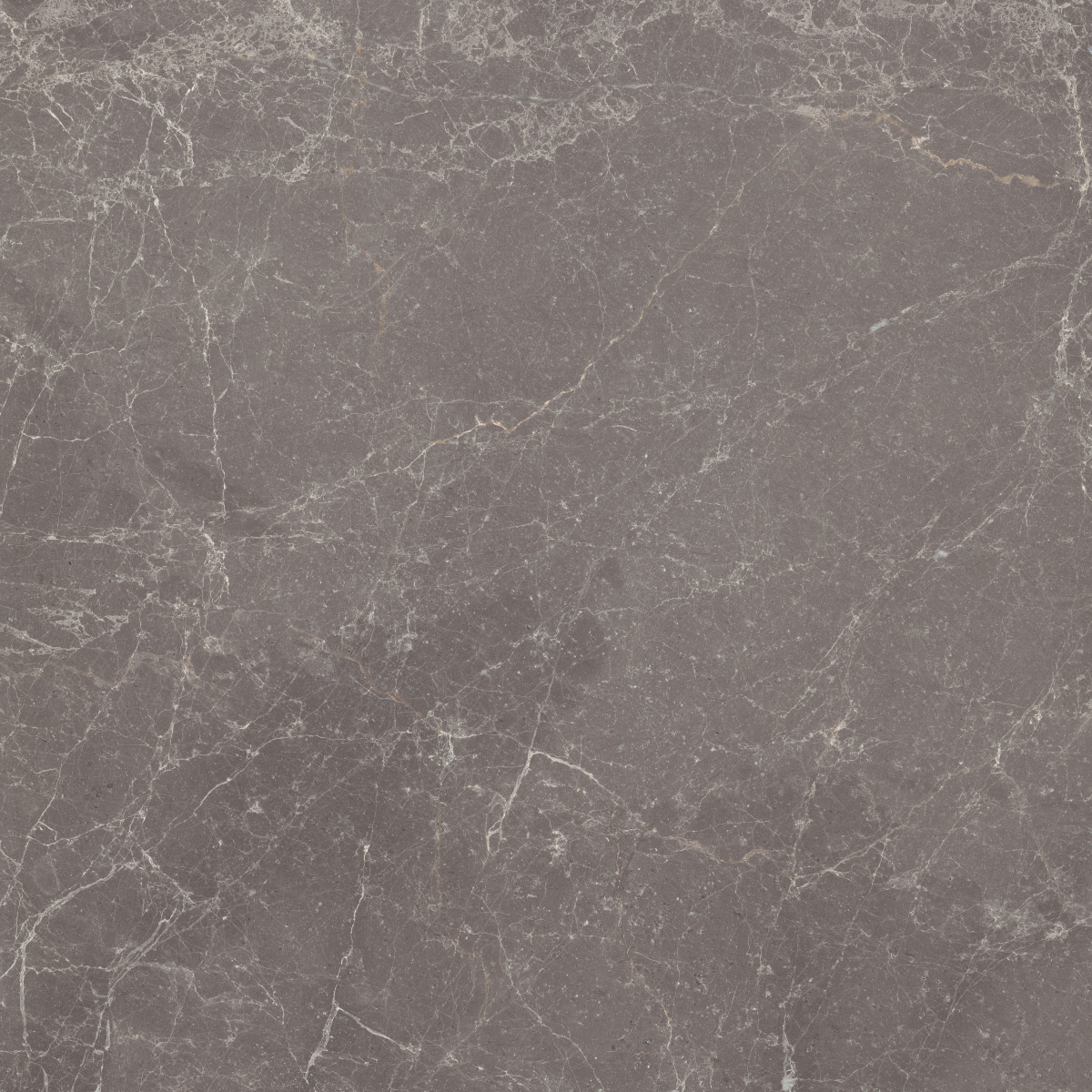 Emperador Polished Marble in Gray, 18x18 and 9x9 square tiles, natural stone material
